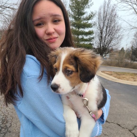 Meet your Posher, Mi hyon - Picture 2 of 9